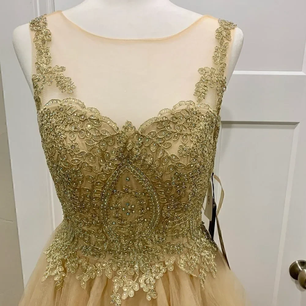 Mesh embroidered beaded Lace Short Ruffled  Dress